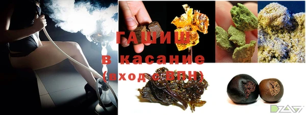 прущие грибы Вяземский