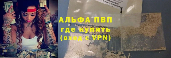 прущие грибы Вяземский