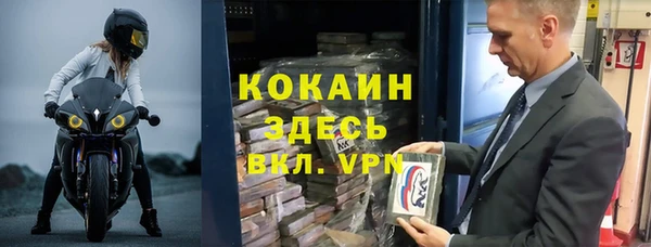 стафф Вязьма