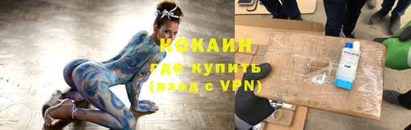стафф Вязьма