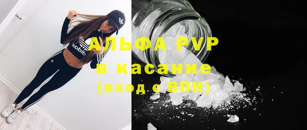 прущие грибы Вяземский