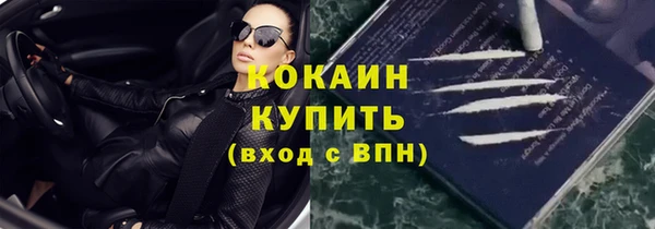 стафф Вязьма