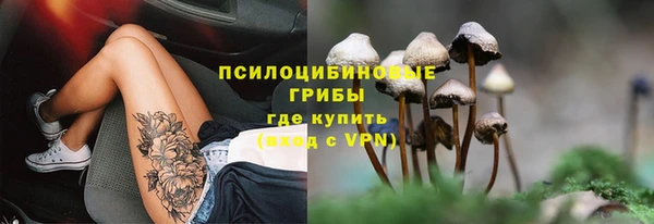 стафф Вязьма
