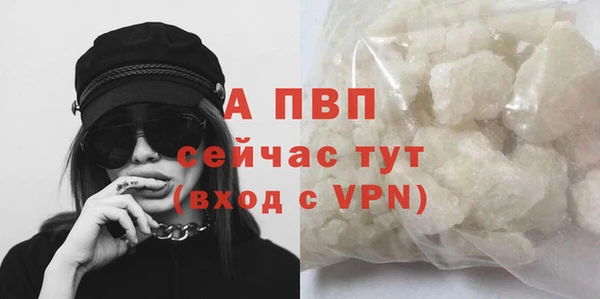 прущие грибы Вяземский