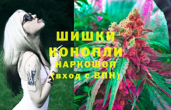 стафф Вязьма