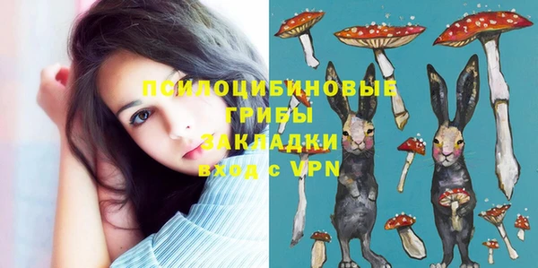 стафф Вязьма
