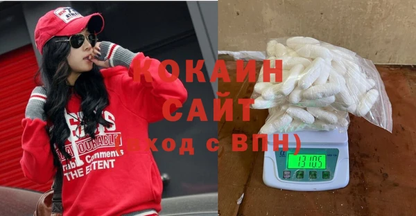 прущие грибы Вяземский
