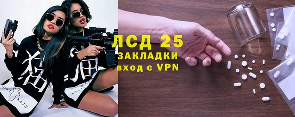 прущие грибы Вяземский
