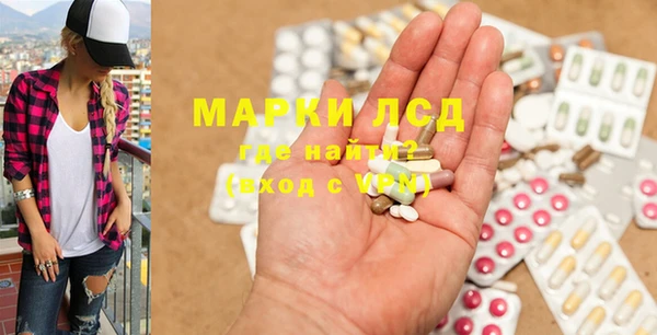 прущие грибы Вяземский