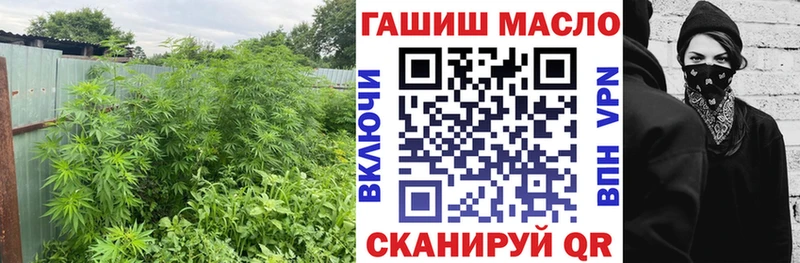 Дистиллят ТГК THC oil Кудрово
