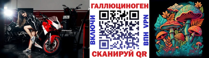 Купить  Кудрово  Псилоцибиновые грибы MAGIC MUSHROOMS 